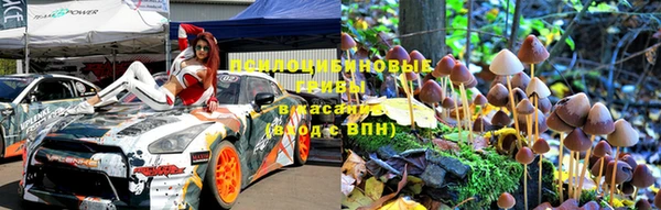 метадон Алексин