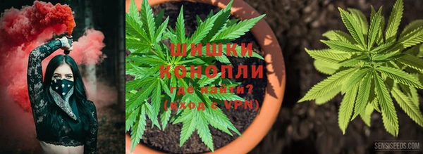 прущие крисы Алзамай