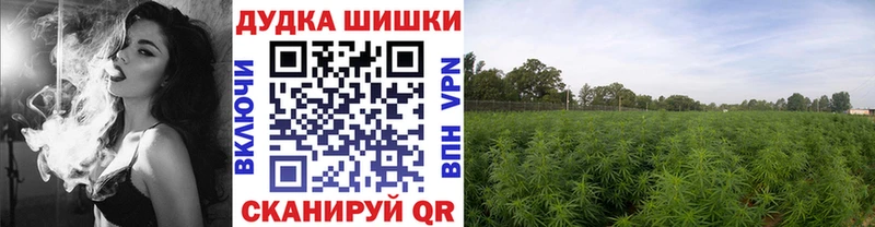 где продают   Котово  Конопля White Widow 